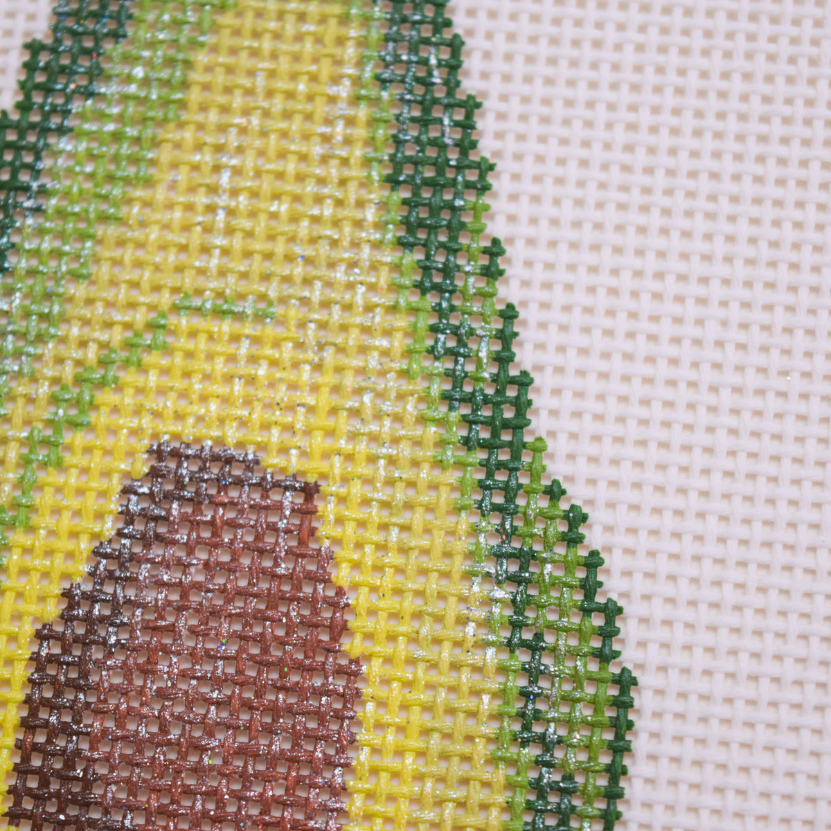 Fruit Gems Avocado Hand Painted Needlepoint Canvas