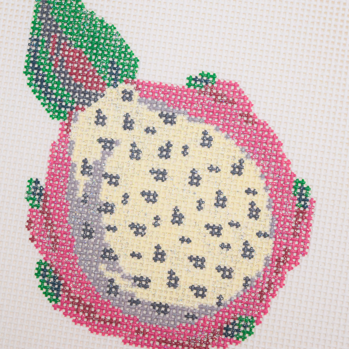 Fruit Gems Dragon Fruit Hand Painted Needlepoint Canvas